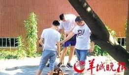 汕头记者爆料新闻最新情况,揭秘某重大事件背后真相